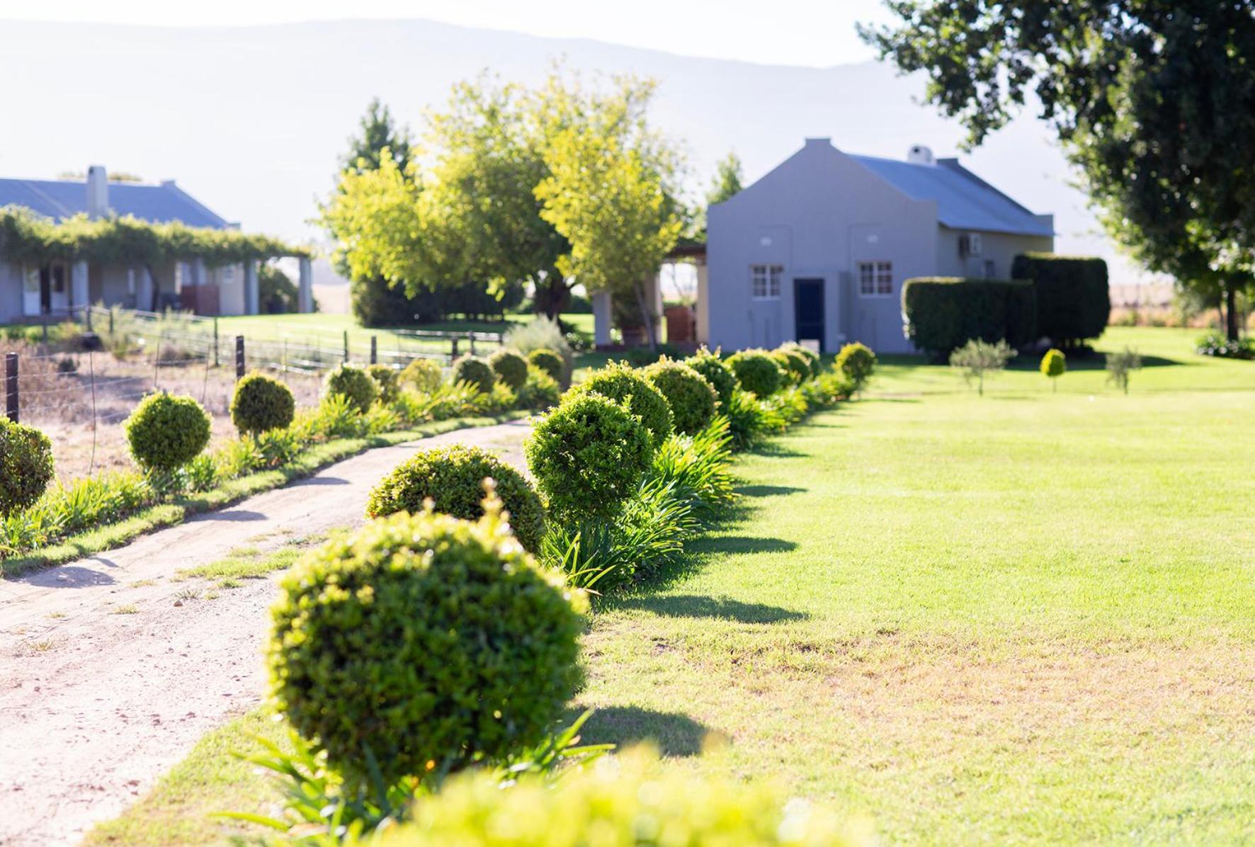 Saronsberg Vineyard cabañas Tulbagh Exterior foto